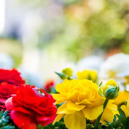 Hotel Monna Lisa Florence